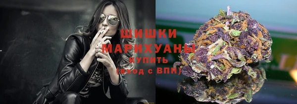 мет Бородино