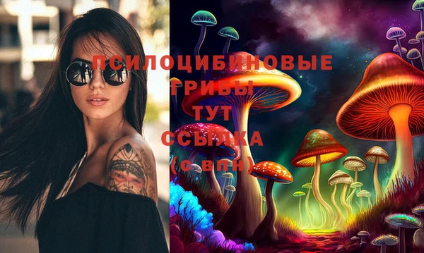 мет Бородино