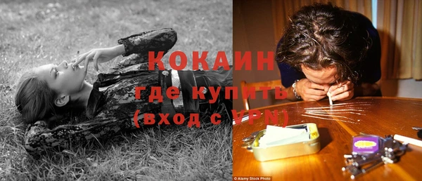 дурь Бронницы